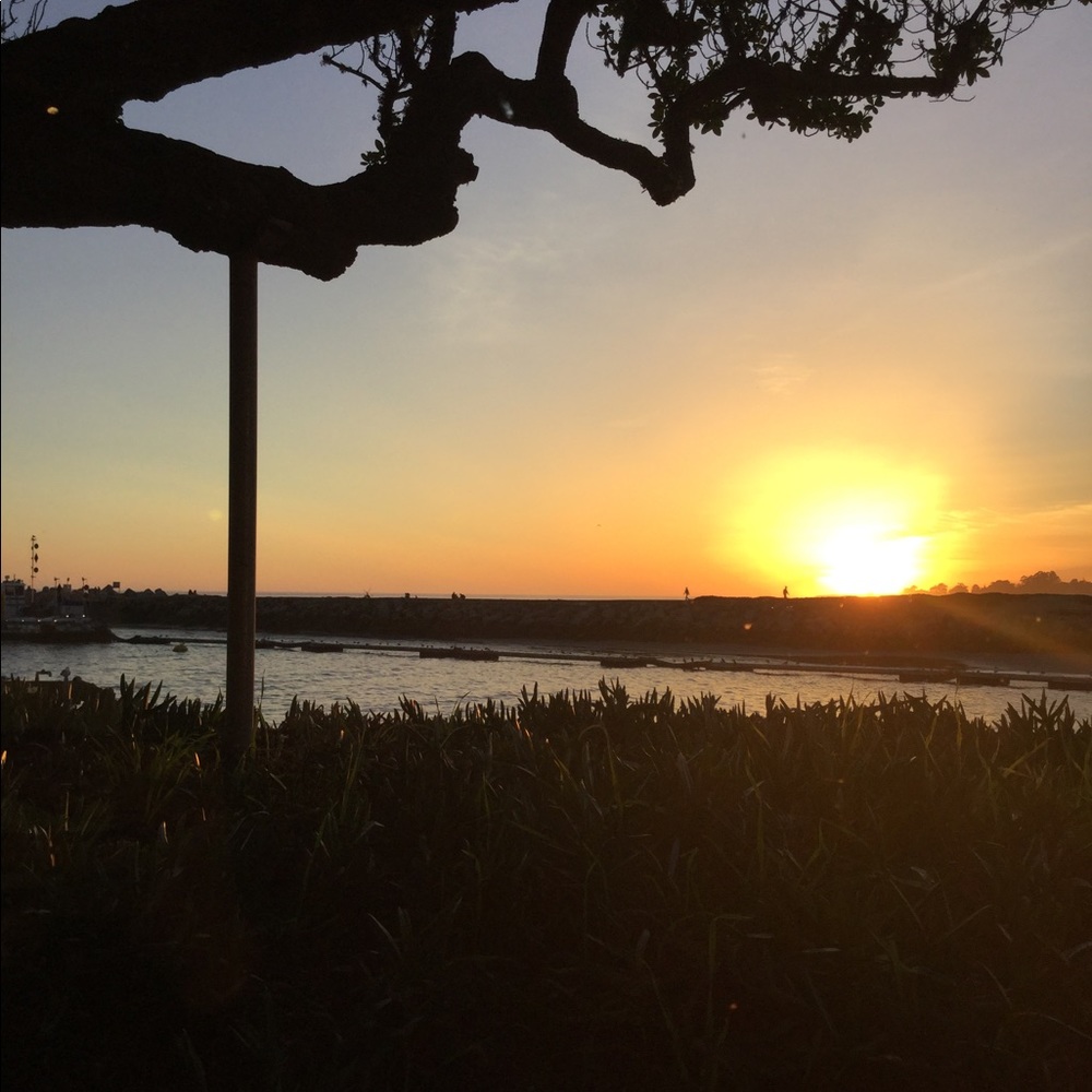 Meet your Posher, Kari